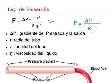 Gráfico que ilustra el efecto del radio del vaso en la resistencia al flujo sanguíneo (Ley de Poiseuille)