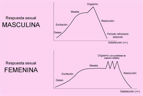 Esquema sobre el ciclo de la respuesta sexual y los factores que la influyen