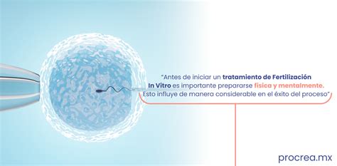 Imagen ilustrativa de un proceso de fertilización in vitro