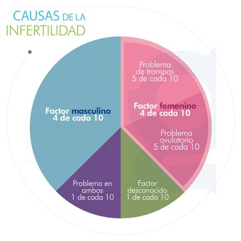 Esquema de las causas de infertilidad y su impacto
