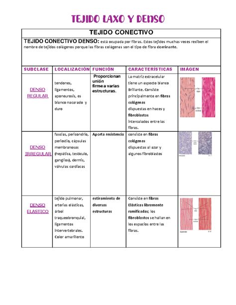 Comparación visual entre tejido conectivo laxo y tejido conectivo denso, mostrando la diferencia en la disposición de las fibras.