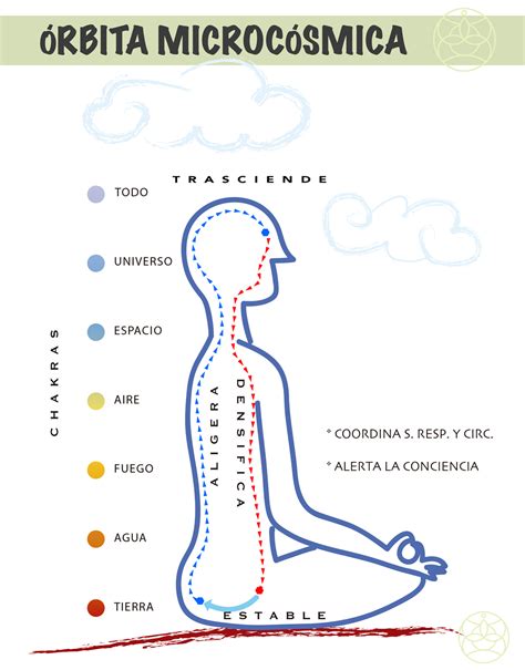 Diagrama de la Órbita Microcósmica en el cuerpo humano