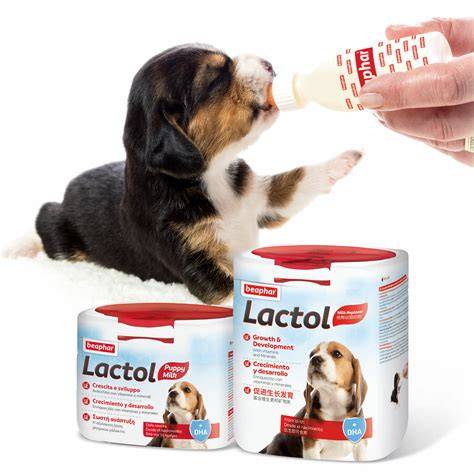 Biberones con leche para cachorros y un envase de Brit Care Puppy Milk