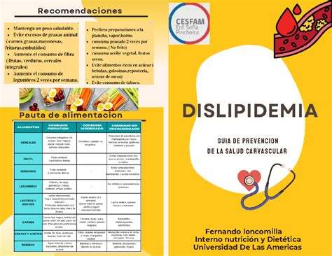 Figura 2: Características de la dieta recomendada para pacientes con dislipidemia.