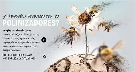 Ilustración de la crisis de polinizadores y la necesidad de soluciones tecnológicas en la agricultura