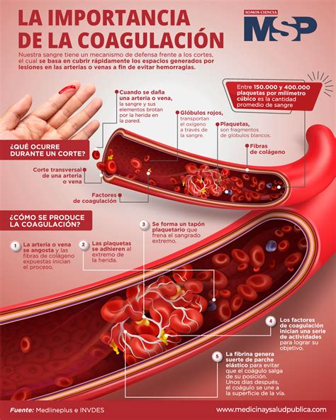 Infografía sobre factores de coagulación y embarazo
