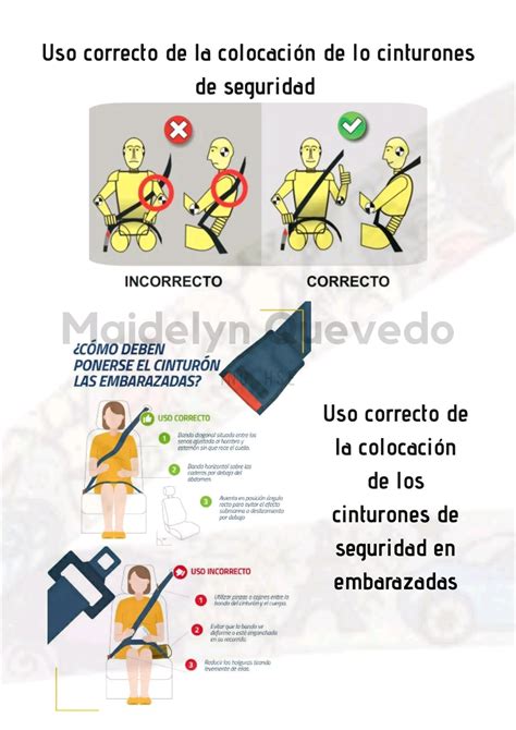 Infografía sobre la correcta colocación del cinturón de seguridad para adultos