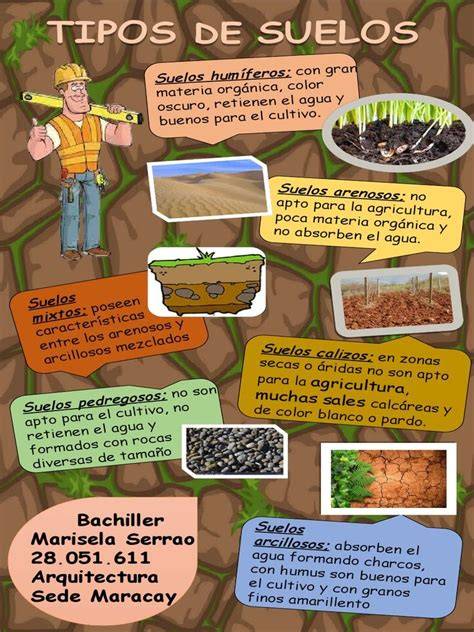 Infografía sobre los requerimientos de suelo y drenaje para la Celosía