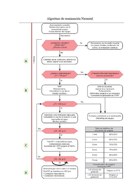 Algoritmo de la reanimación neonatal