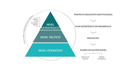 Pirámide organizacional con niveles estratégico, táctico y operativo