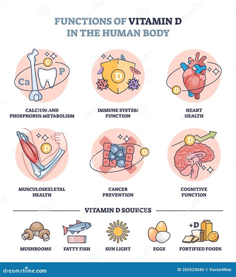 Esquema de las funciones de la vitamina D en el cuerpo humano, incluyendo su papel en la salud ósea e inmunitaria.