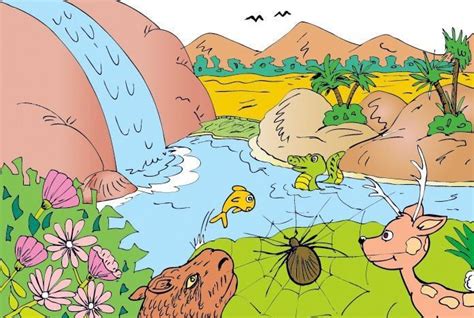 Infografía detallando los componentes naturales y las características de los pañales Moltex Pure et Nature.