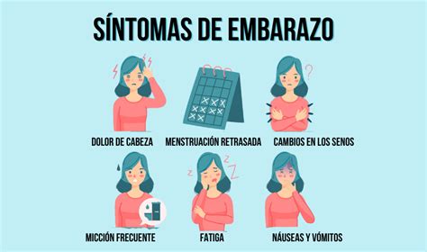 Ilustración que muestra los diferentes síntomas tempranos del embarazo, como pechos sensibles, náuseas y fatiga.