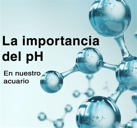 Esquema explicativo sobre el pH vaginal y la importancia de mantener su equilibrio ácido natural.