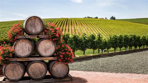 Bodega valenciana con viñedos al fondo.