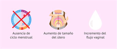 Representación esquemática de los cambios en el sistema reproductor masculino con la edad.