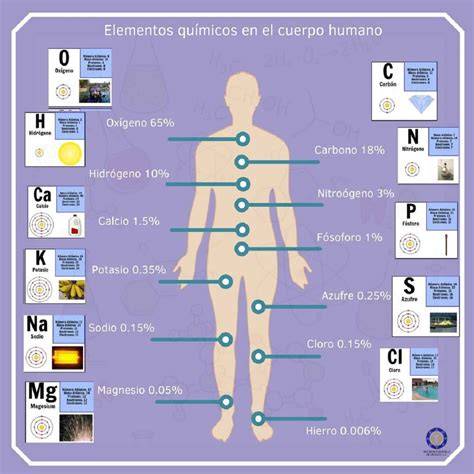 Gráfico circular que representa las proporciones de los elementos químicos en el cuerpo humano