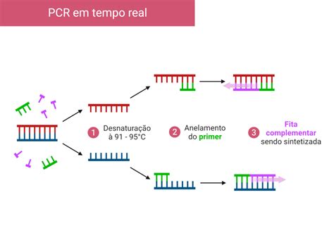 Esquema de las estadísticas de supervivencia en PCR pediátrica