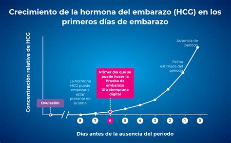 Esquema explicativo sobre la detección de la hormona hCG en la orina mediante un test de embarazo
