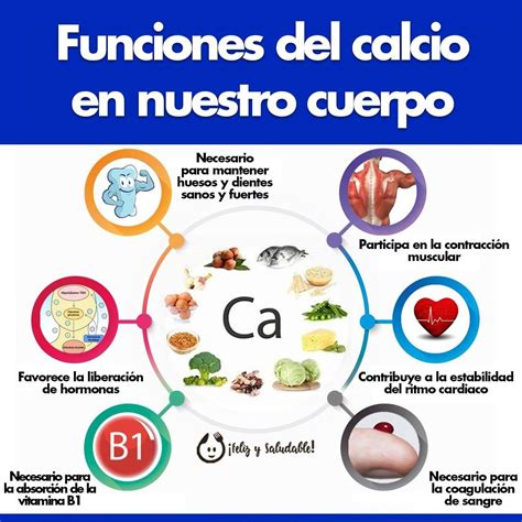 infografía sobre la función del calcio en el cuerpo humano