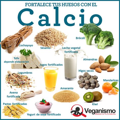 infografía de alimentos vegetales ricos en calcio