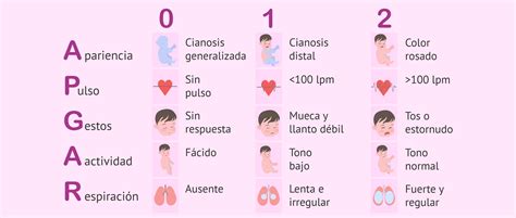 esquema del test de Apgar