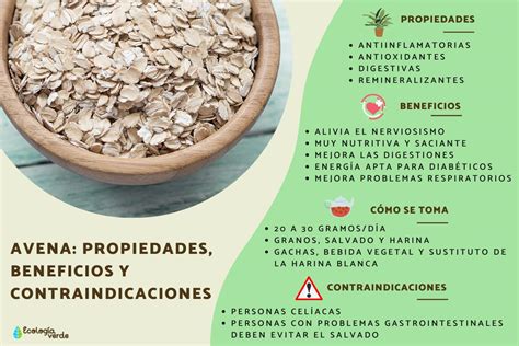Ilustración de los beneficios de la avena para la salud cardiovascular y energética