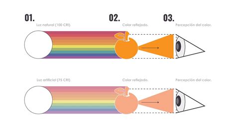 Gráfico comparativo de la reproducción cromática según el índice CRI y el método TM-30, mostrando la fidelidad y la gama de colores.