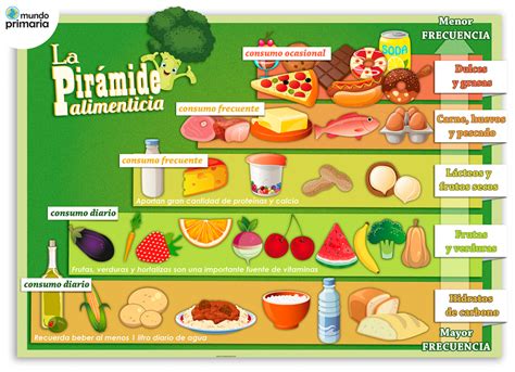 Infografía: Pirámide alimenticia para bebés a partir de 6 meses, mostrando frutas, verduras, cereales y proteínas.
