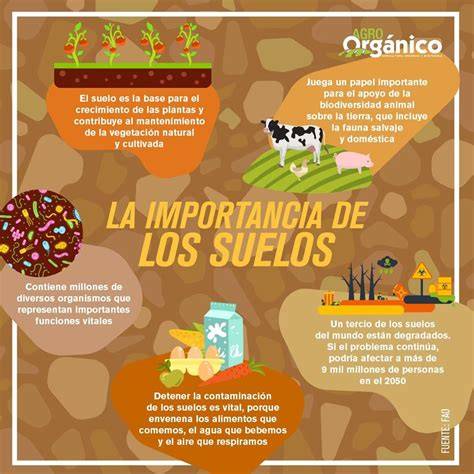 Infografía sobre la importancia de la fertilización del suelo en pastizales