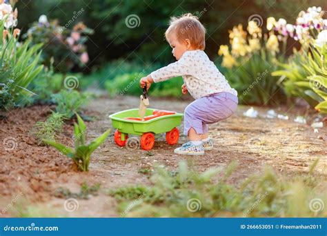 Fotografía de un niño pequeño jugando con un carrito de muñecas clásico en un parque