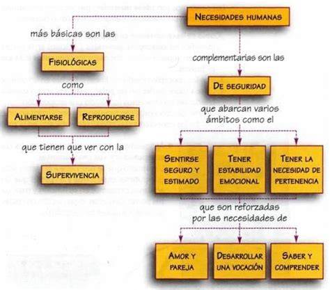 Esquema de las necesidades nutricionales de un neonato en UTIN