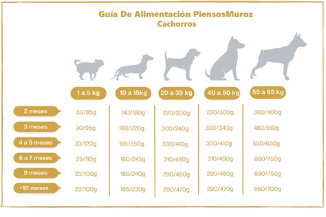 Infografía sobre las porciones de alimento para cachorros por edad
