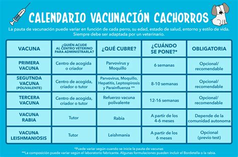 Calendario de vacunación y desparasitación para cachorros