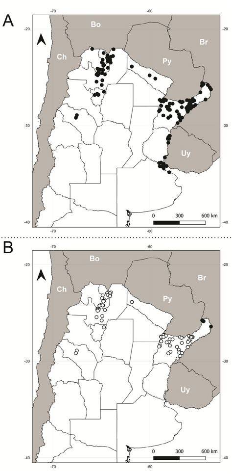 Mapa de distribución geográfica del Chromis viridis