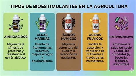 infografía sobre los diferentes tipos de bioestimulantes y sus funciones