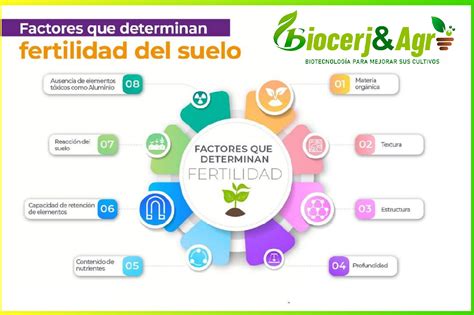 Infografía detallada sobre los factores que influyen en la fertilidad del suelo: pH, materia orgánica, textura, humedad, etc.