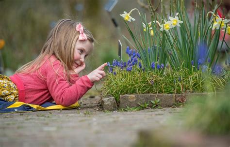 Niños observando abejas en un jardín con flores