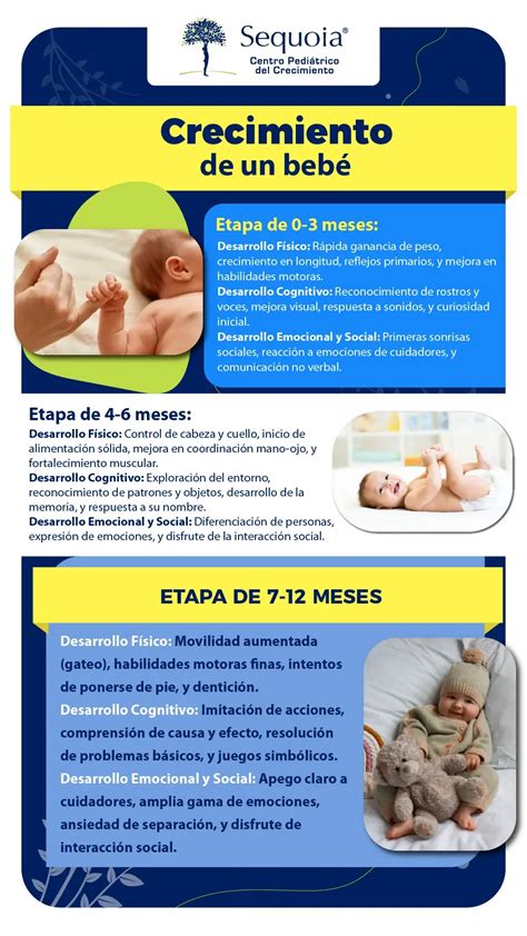 Infografía sobre las etapas de crecimiento de un bebé y cómo una cuna convertible se adapta a ellas.