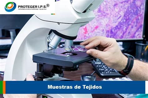 Muestras de tejidos piqué y plumeti