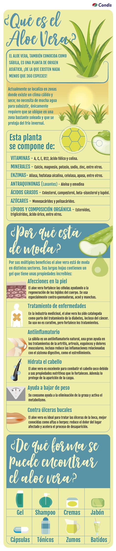 Infografía: Composición química del Aloe Vera