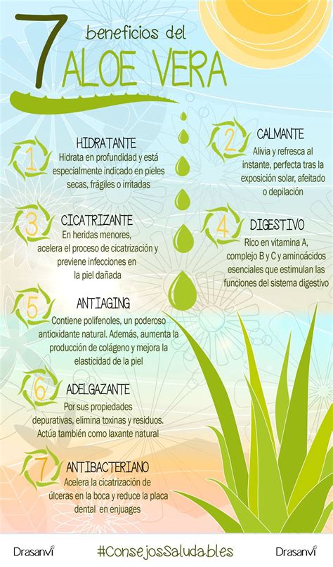Infografía: Beneficios del Aloe Vera ingerido