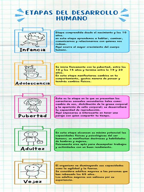 Infografía: Etapas del desarrollo del pie del bebé y calzado recomendado