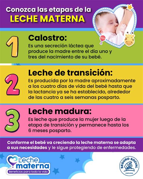 Infografía comparativa de la diversidad de probióticos en la leche materna y Blemil 2 Optimum Evolution.