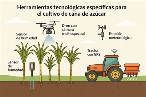 Esquema de un sensor de nitratos en el suelo para agricultura de precisión.