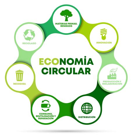 Diagrama del PERTE de Economía Circular con sus líneas de acción