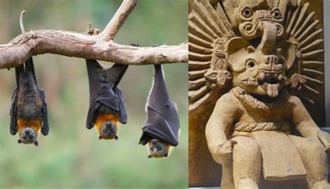 Representación de murciélago mesoamericano con símbolos de vida y muerte/fertilidad