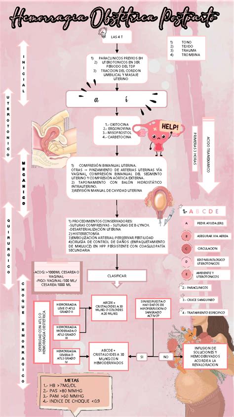 Esquema: Algoritmo de manejo en patologías obstétricas comunes