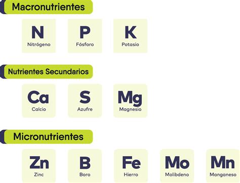 Tabla de macronutrientes NPK y su función