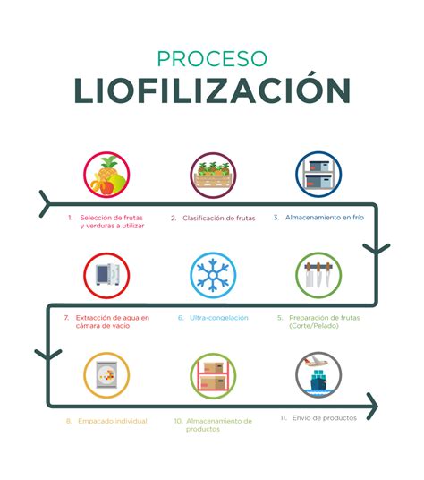 Esquema detallado del proceso de liofilización mostrando las fases de congelación, secado primario y secundario con sus condiciones de temperatura y presión